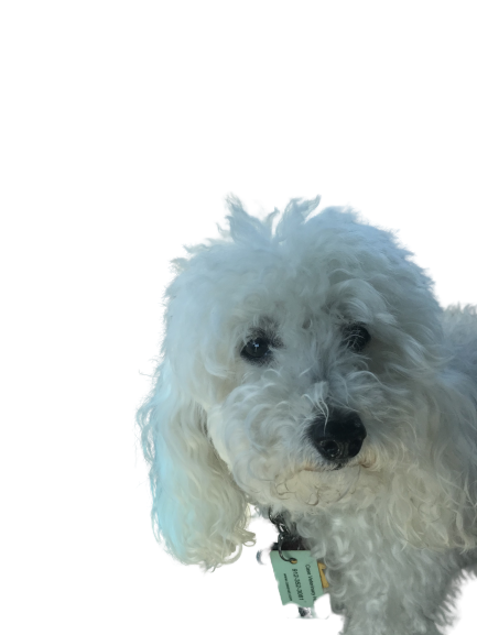 Member Image